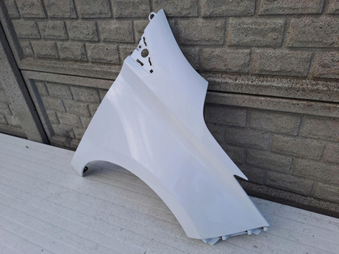 RENAULT ZOE BŁOTNIK PRAWY PRZEDNI - (13137502956)